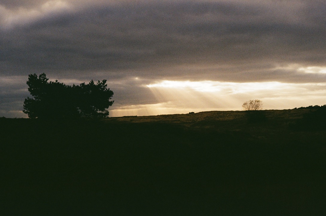Nature, image 6